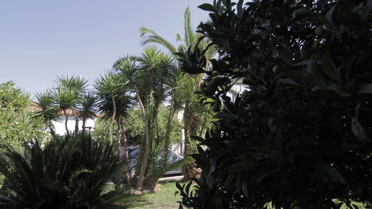 Photo of Outdoor in Spata-Artemida