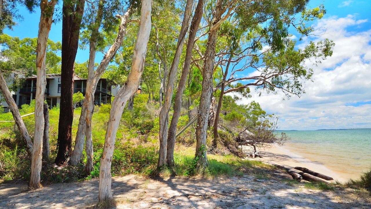 Photo of Others in Kingfisher Bay