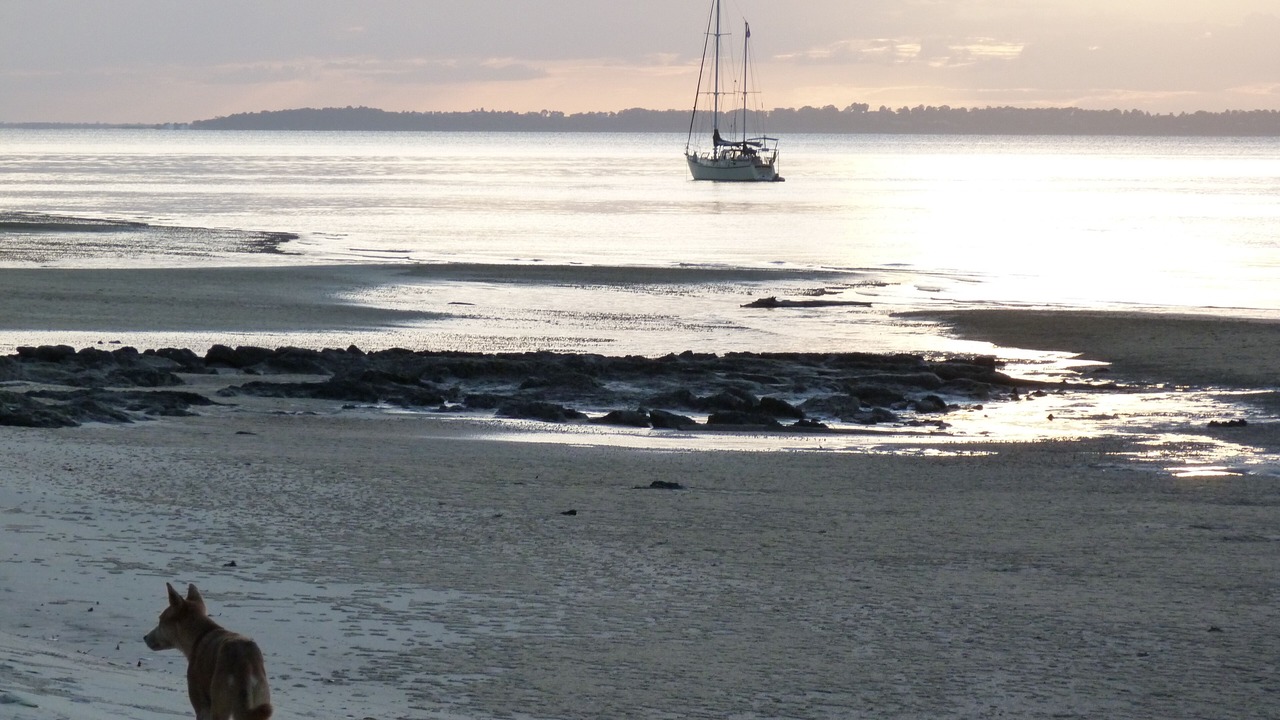Photo of Others in Kingfisher Bay