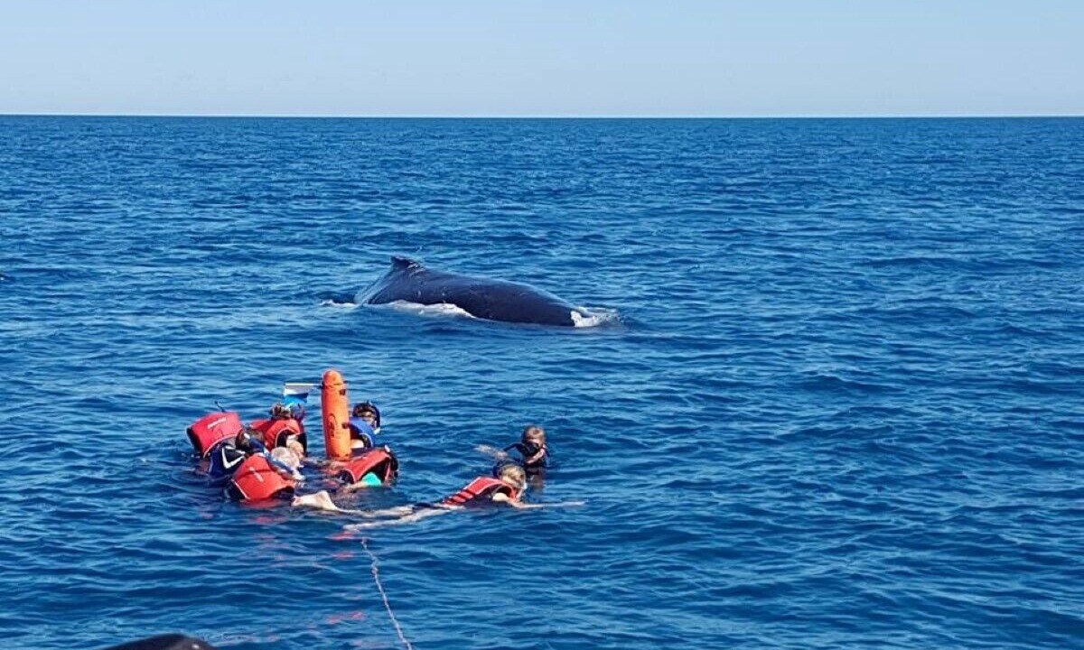 Photo of Others in Kingfisher Bay