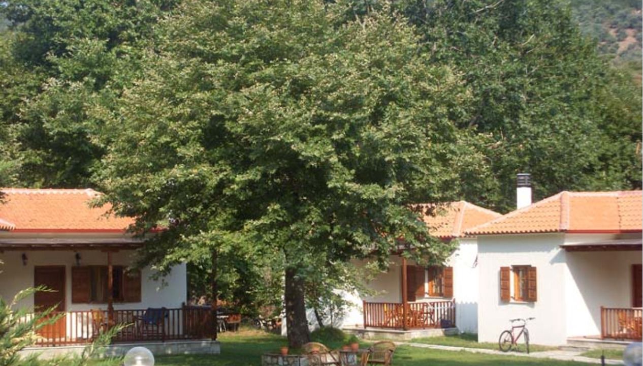 Photo of Outdoor in Platania