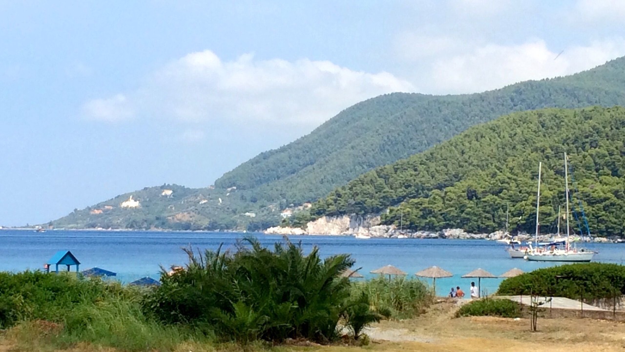 Photo of Others in Glossa