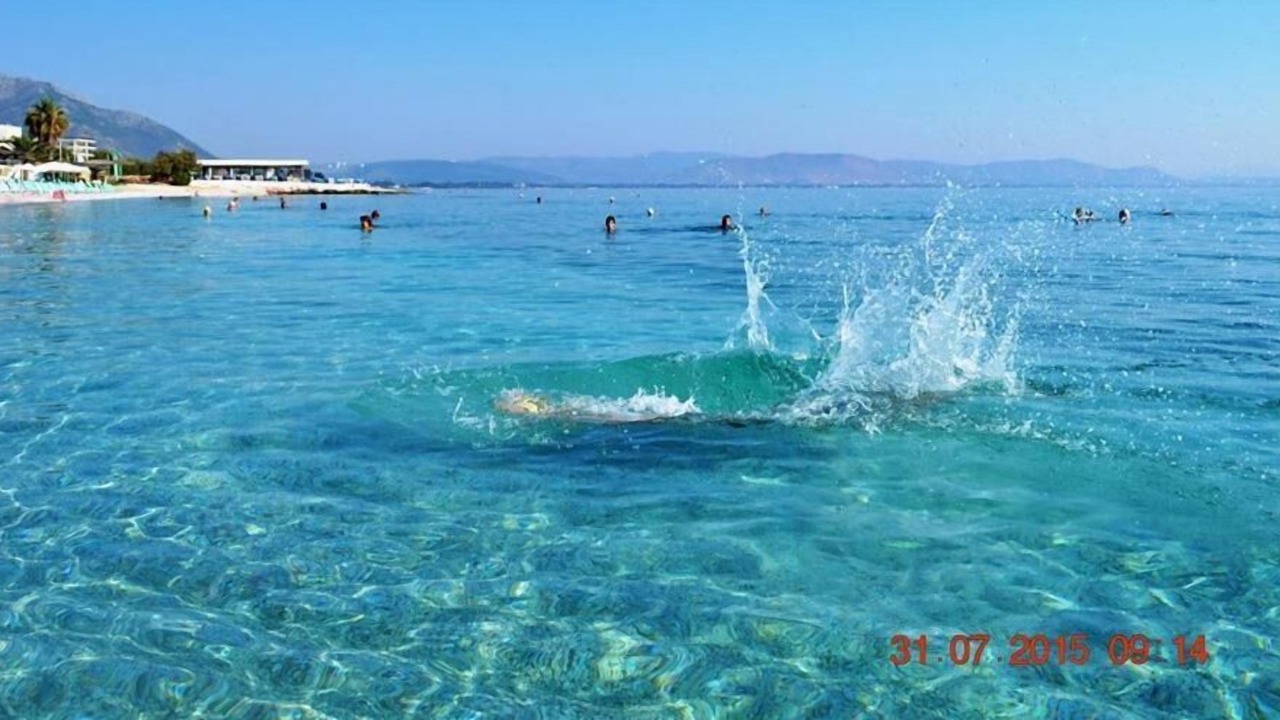 Photo of Others in Nea Makri