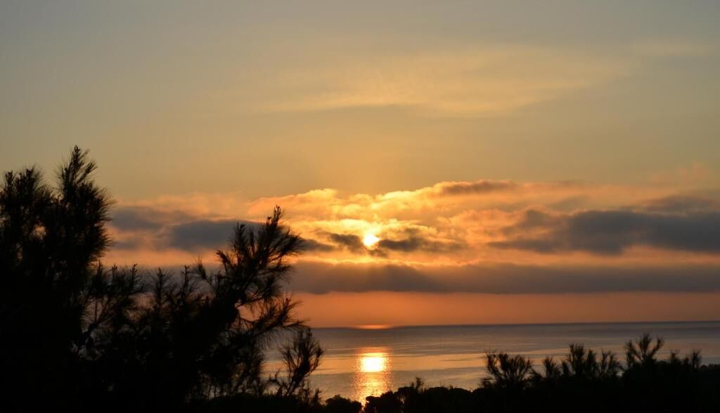 Photo of Others in Nea Makri