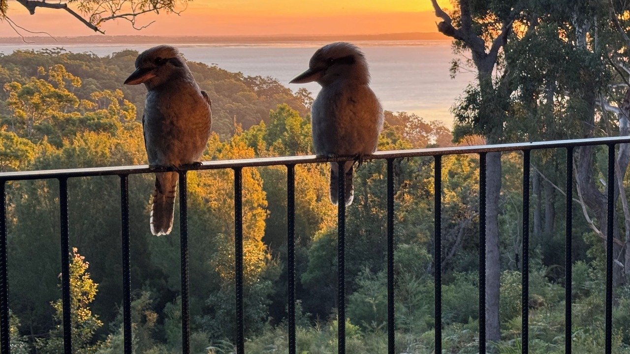 Photo of Patio Balcony in Kingfisher Bay
