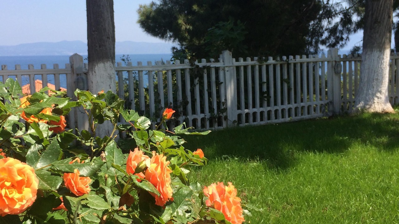Photo of Outdoor in Theologos