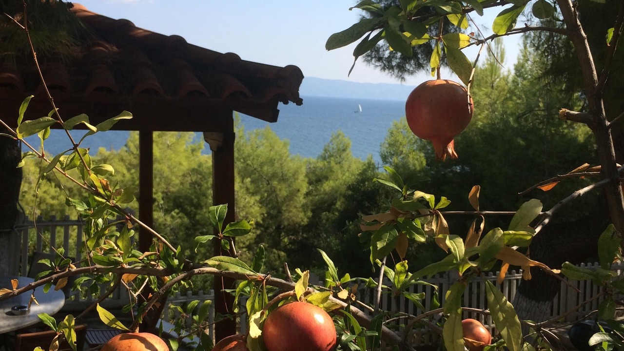 Photo of Patio Balcony in Theologos