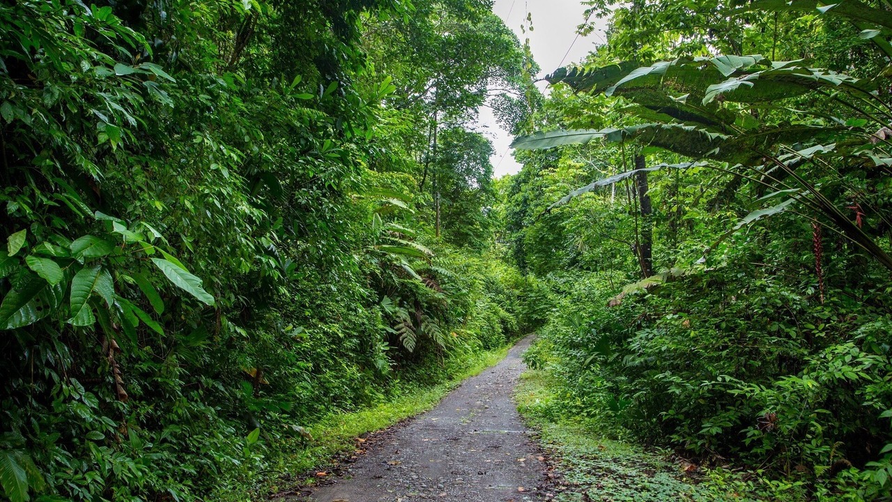Photo of Outdoor in Parrita
