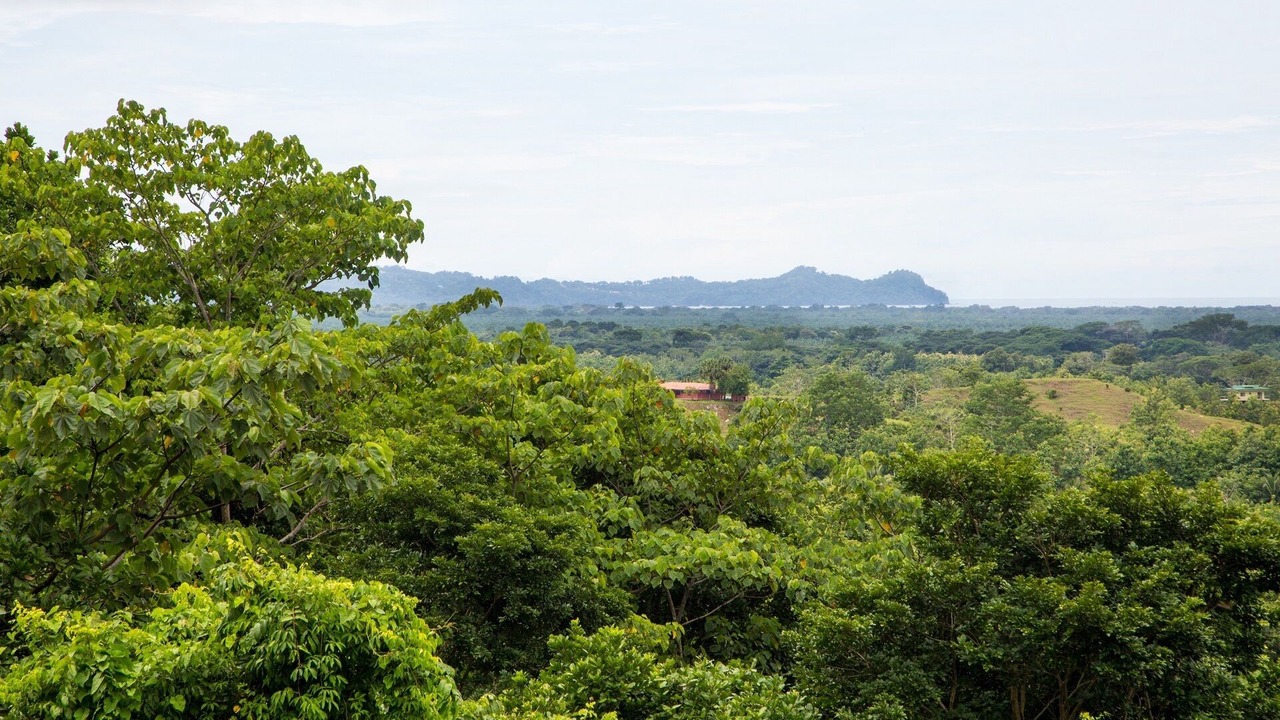 Photo of Others in Parrita