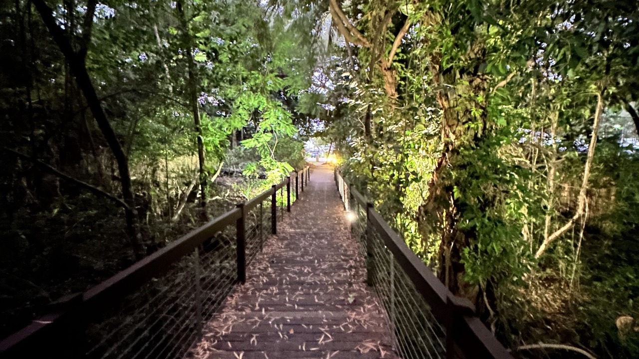Photo of Others in Palm Cove