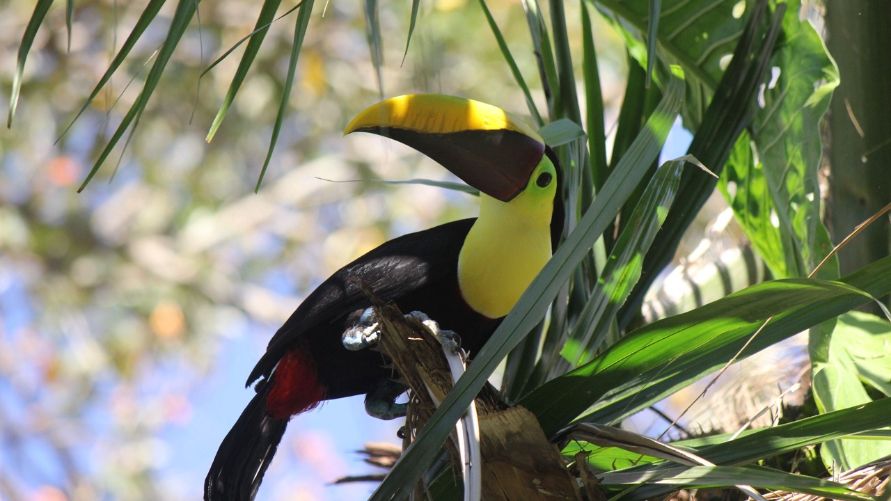 Photo of Outdoor in Parrita