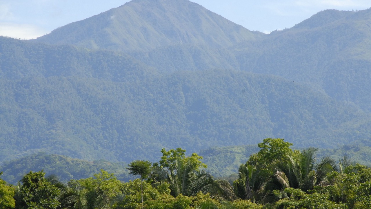 Photo of Others in Parrita