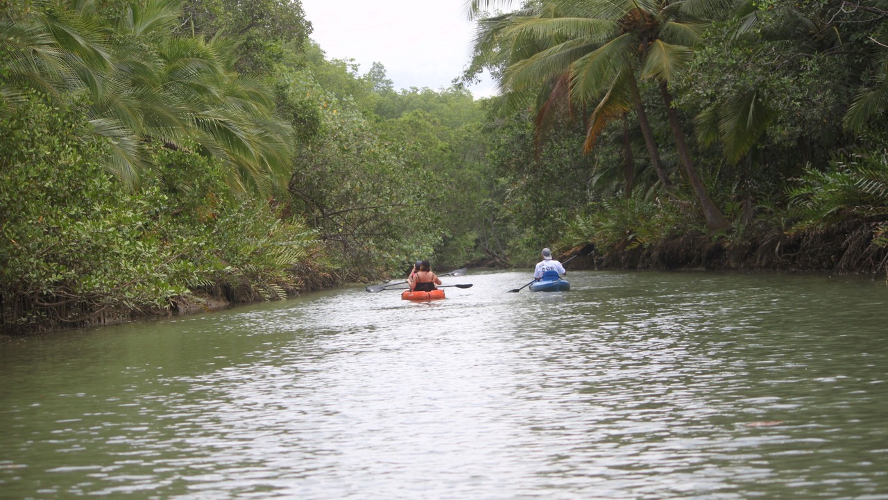 Photo of Outdoor in Parrita