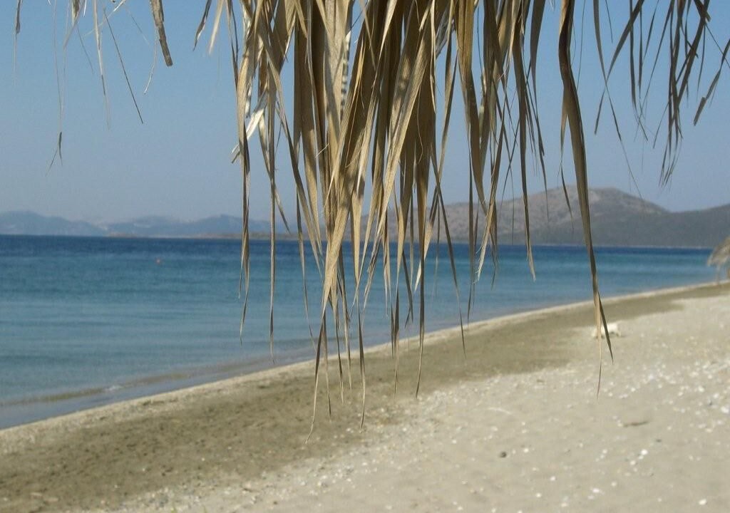 Photo of Others in Karystos