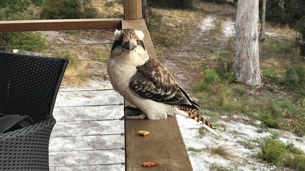 Photo of Others in Kingfisher Bay