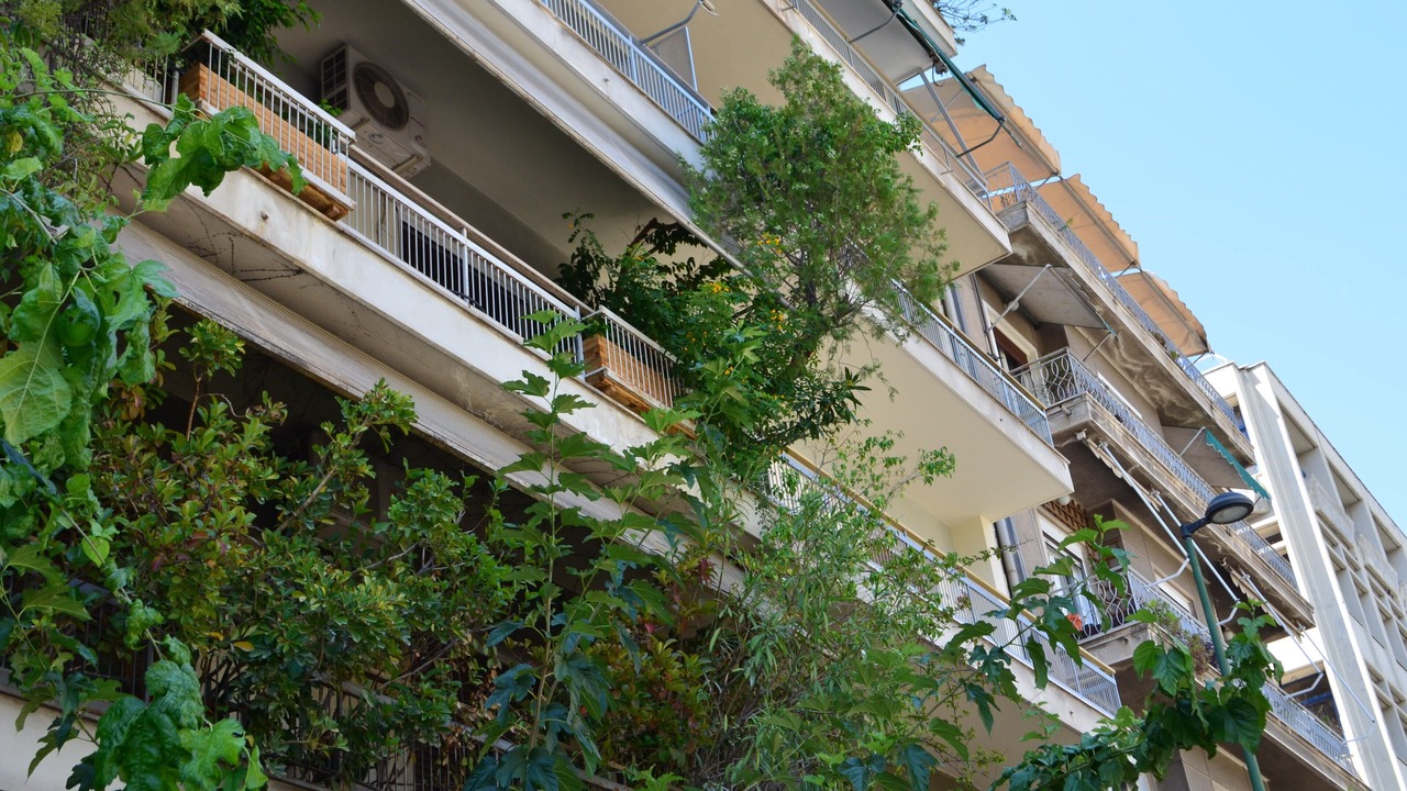 Photo of Outdoor in Athens City Centre