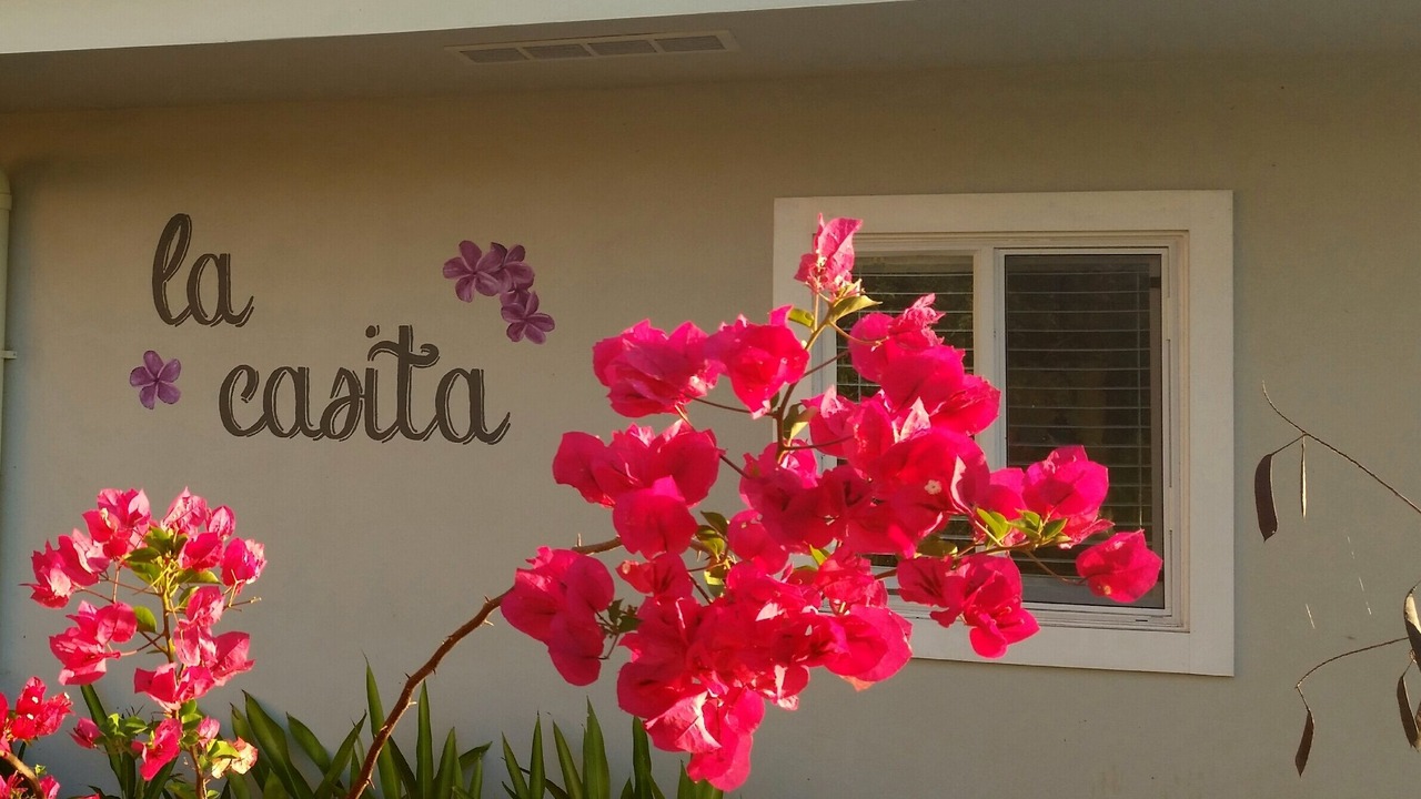 Photo of Outdoor in Playa Hermosa