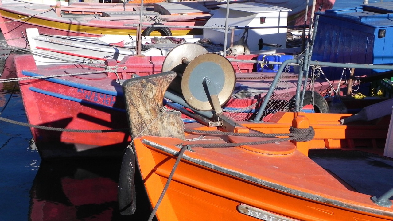 Photo of Others in South Pelion