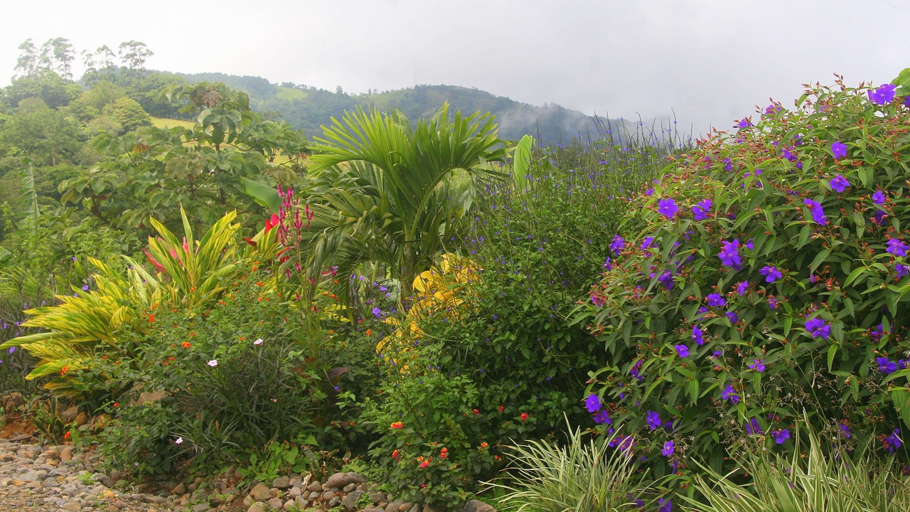 Photo of Outdoor in San Ramon