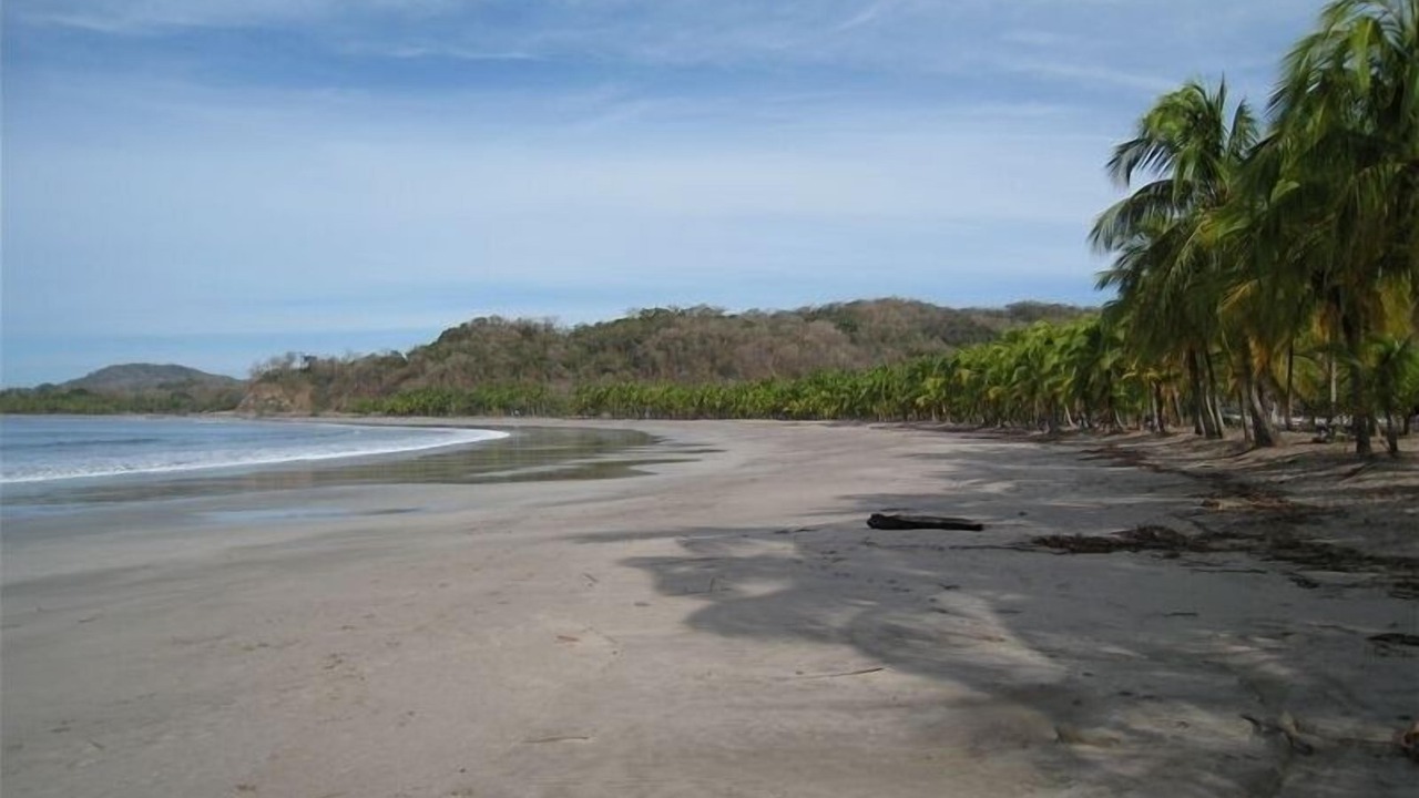 Photo of Others in Puerto Carrillo