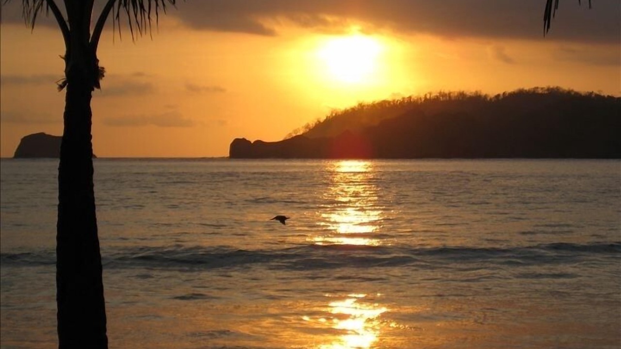 Photo of Others in Puerto Carrillo