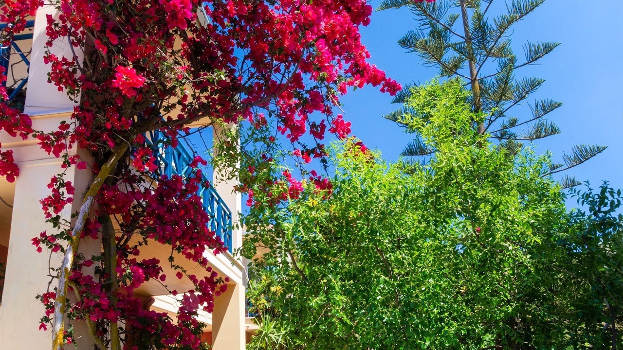 Photo of Outdoor in Lefkada Town