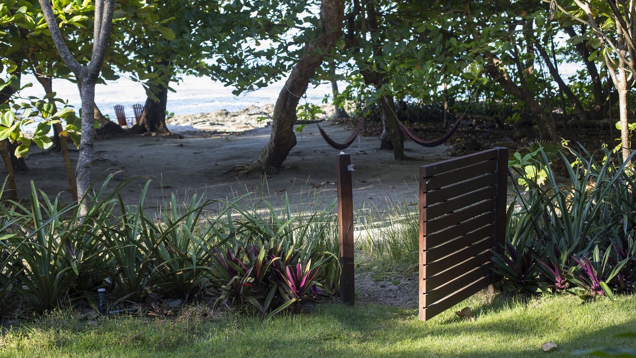 Photo of Outdoor in Playa Santa Teresa