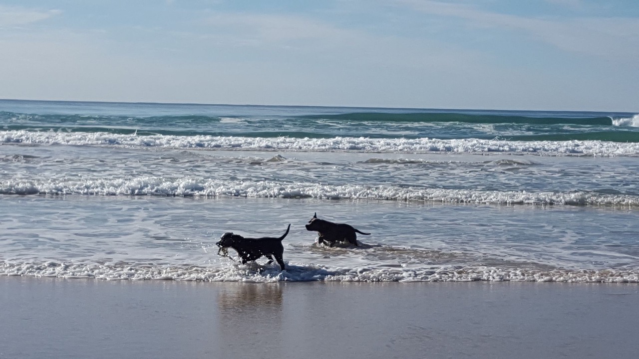 Photo of Others in Noosa North Shore