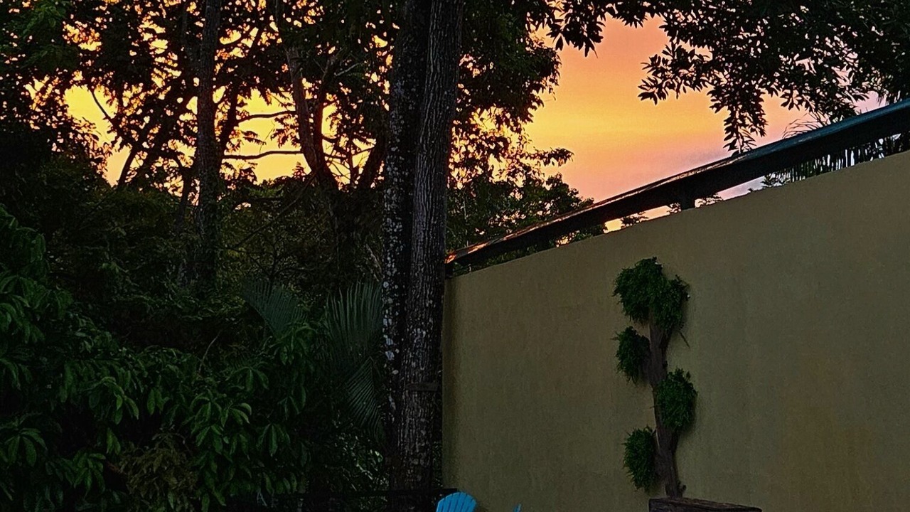 Photo of Outdoor in Manuel Antonio