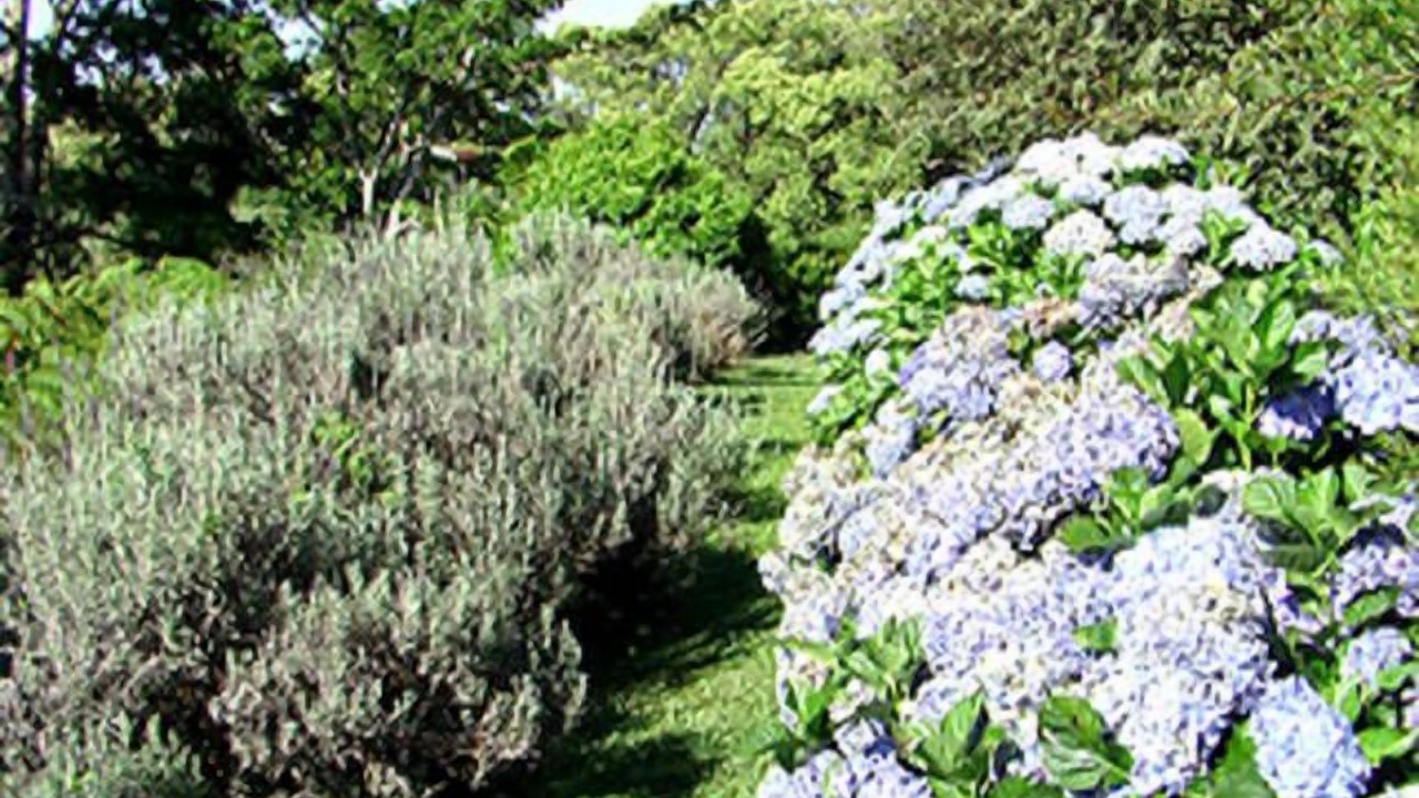 Photo of Outdoor in Maleny