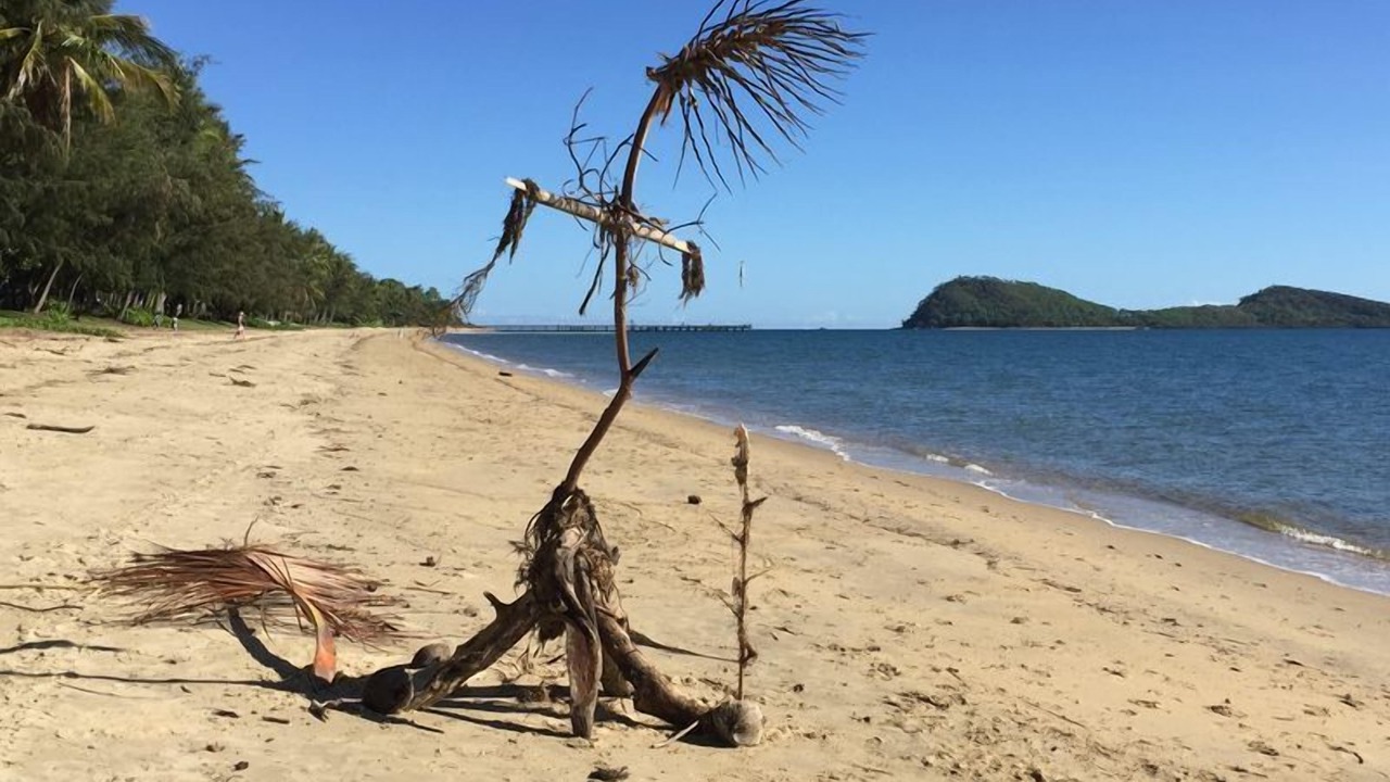 Photo of Others in Palm Cove