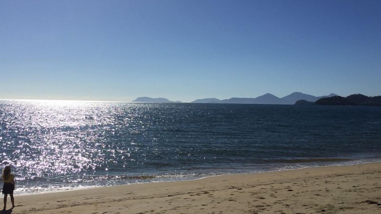 Photo of Others in Palm Cove