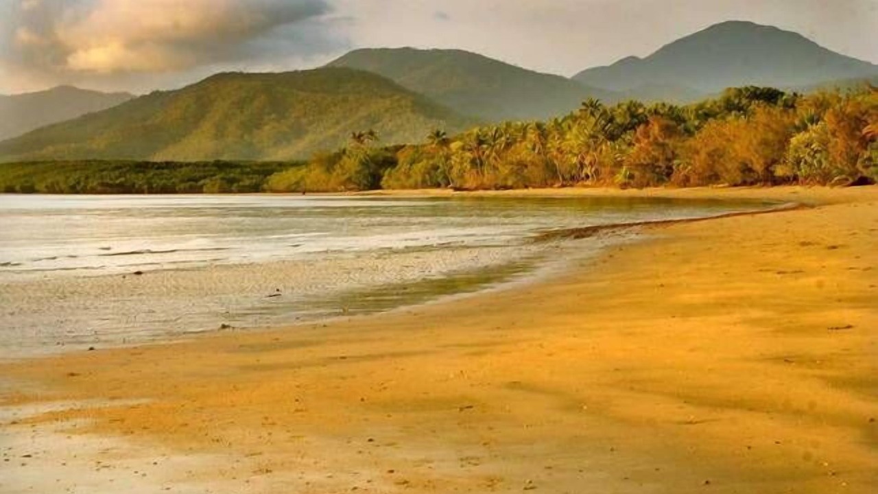 Photo of Others in Port Douglas