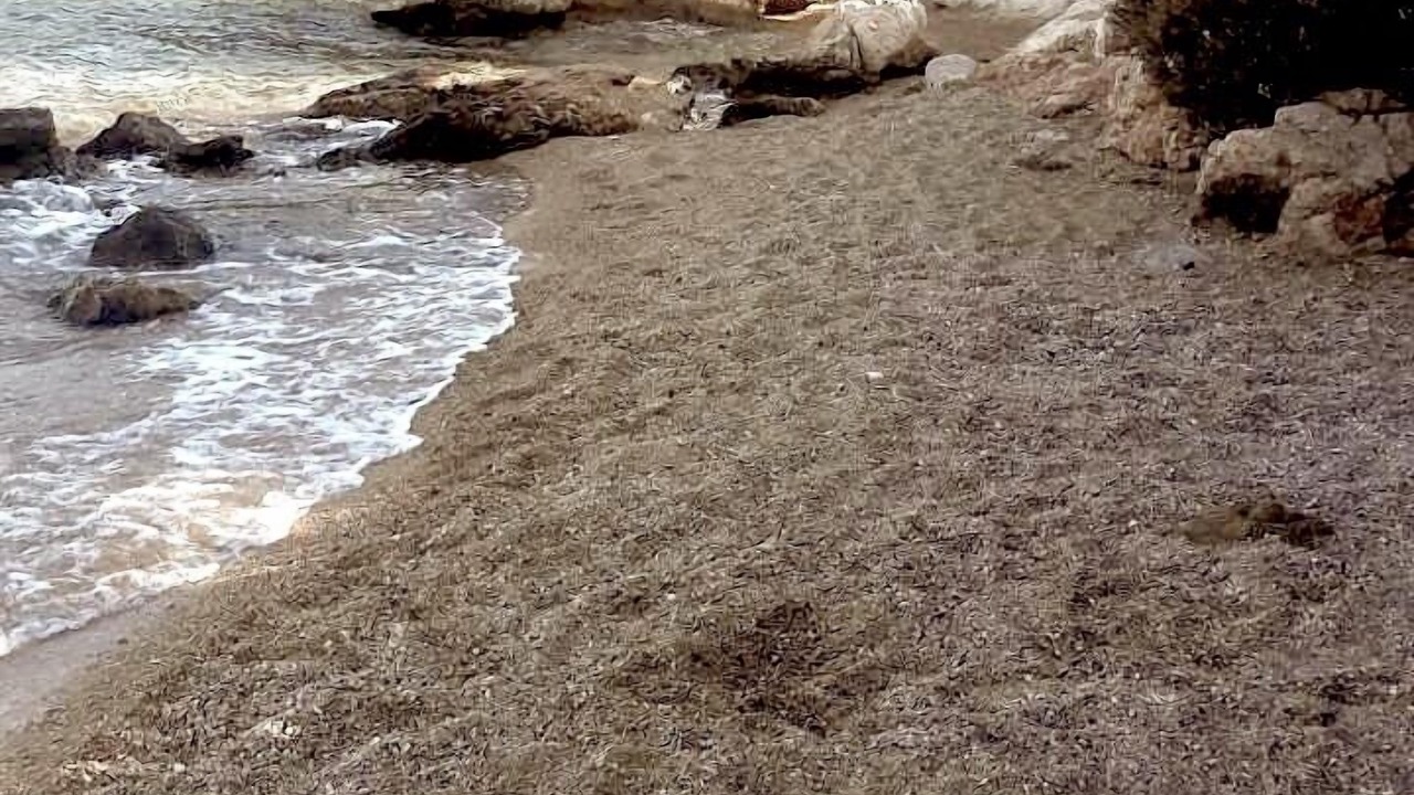 Photo of Others in Bralos