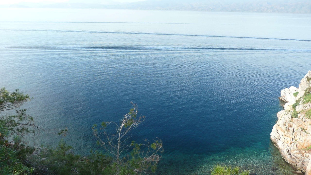 Photo of Others in Hydra