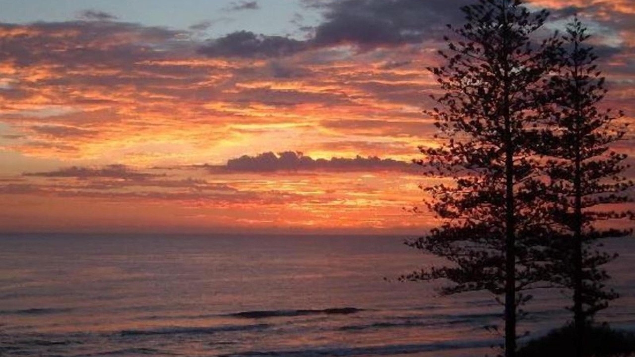 Photo of Others in Coolum Beach