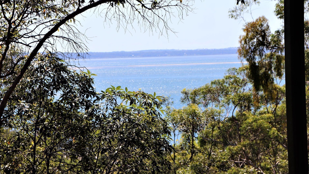 Photo of Others in Fraser Island