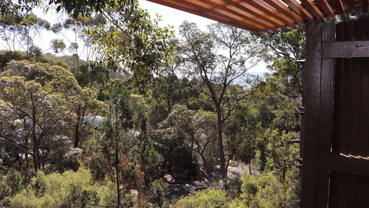 Photo of Outdoor in Fraser Island