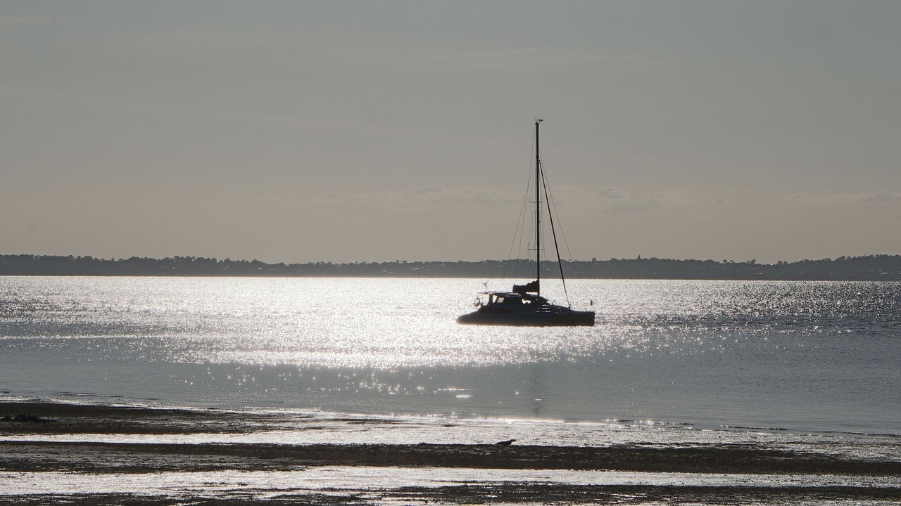 Photo of Others in Fraser Island