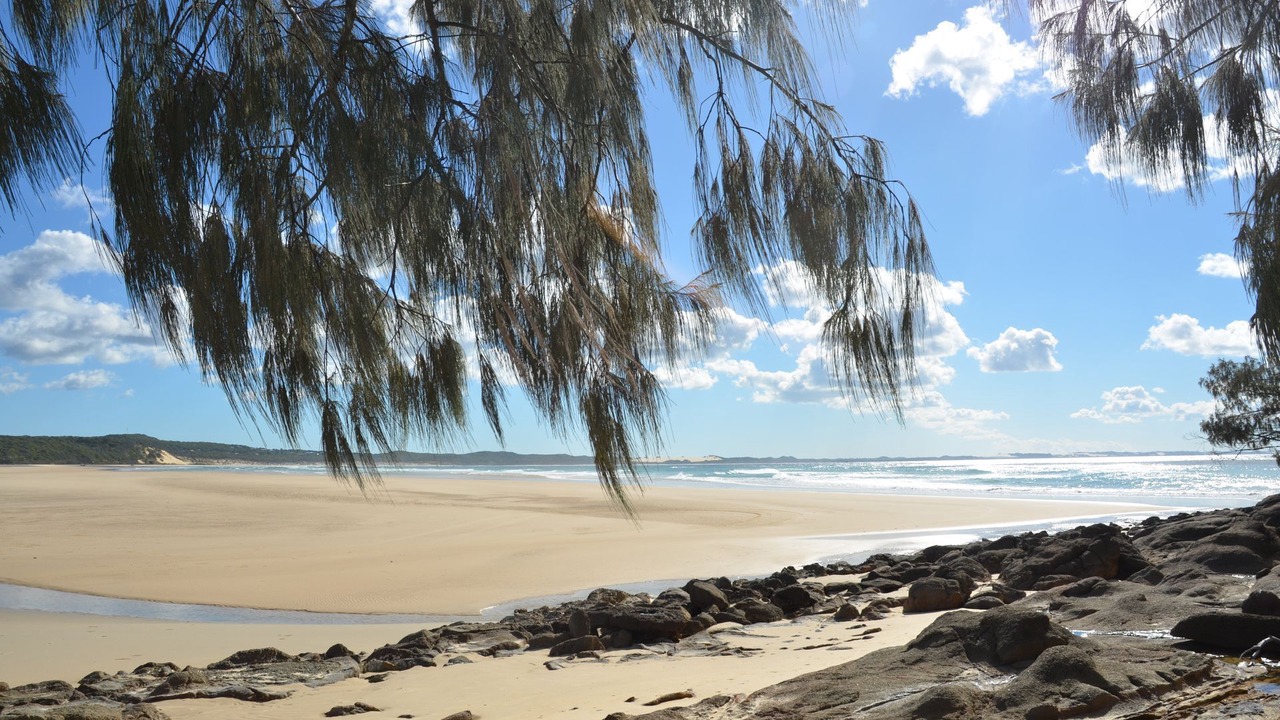 Photo of Others in Orchid Beach