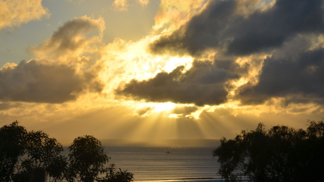 Photo of Others in Orchid Beach