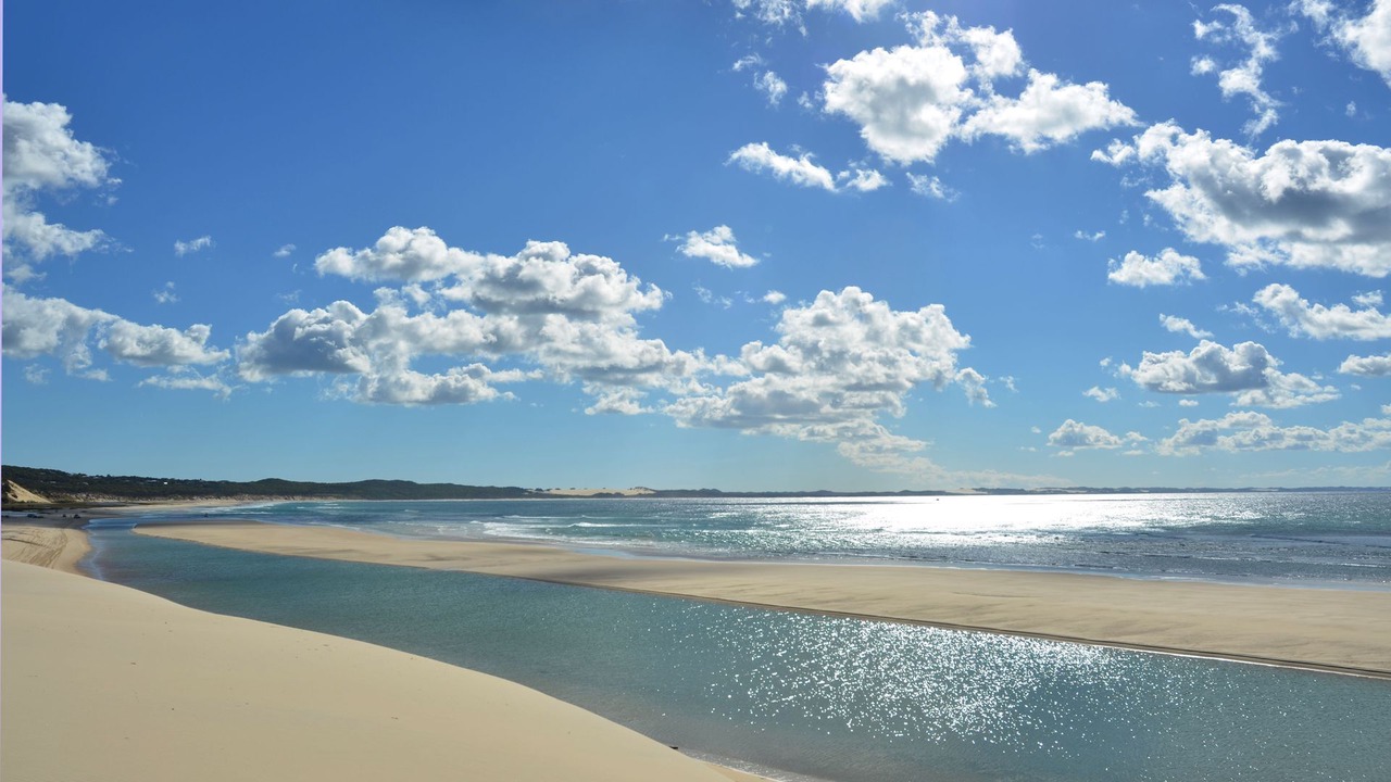 Photo of Others in Orchid Beach