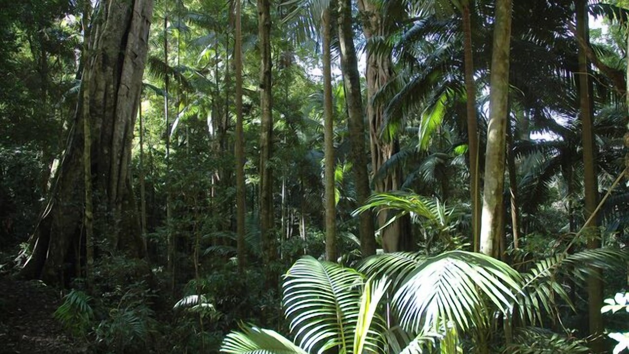 Photo of Others in Mount Glorious