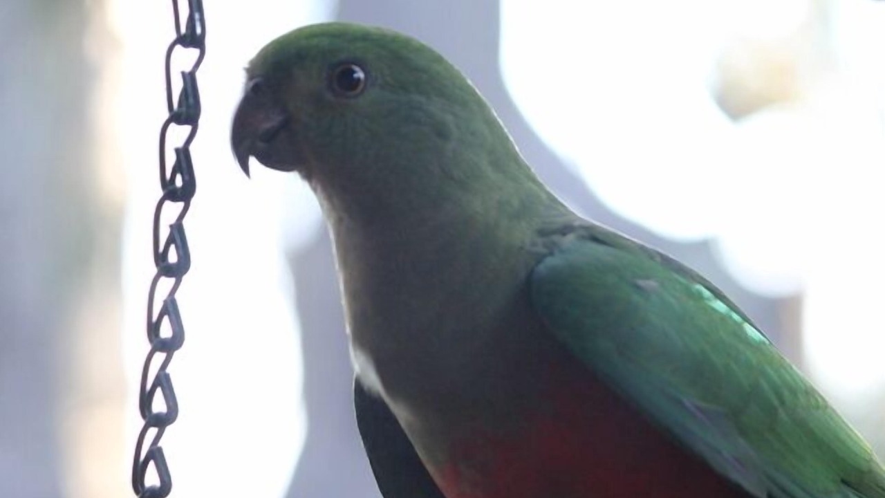 Photo of Others in Mount Glorious