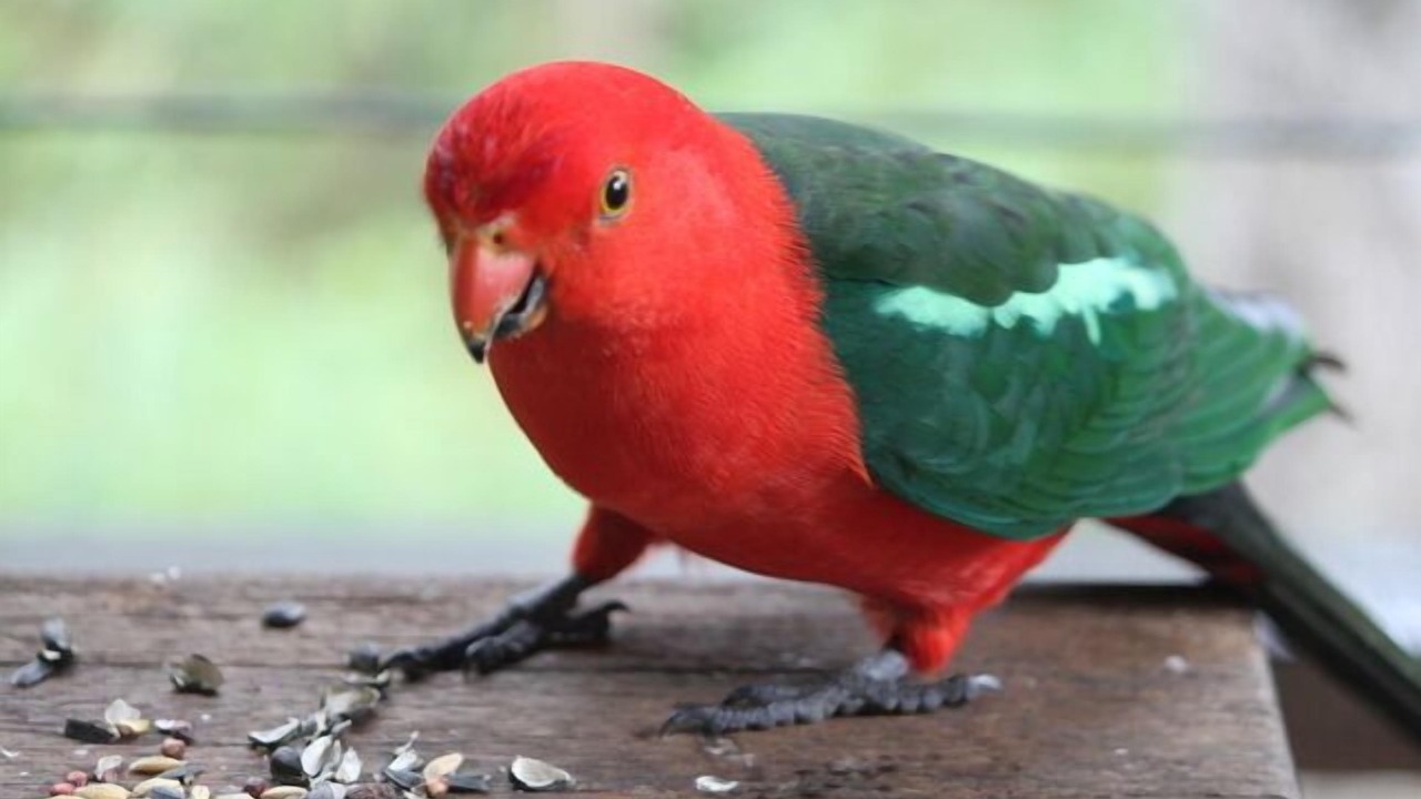 Photo of Others in Mount Glorious