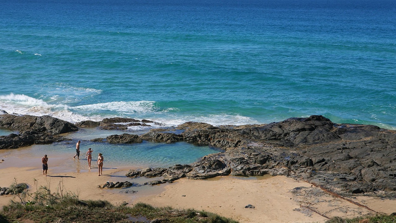 Photo of Others in Orchid Beach