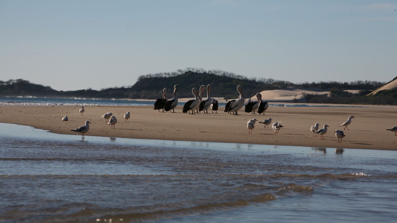 Photo of Others in Orchid Beach