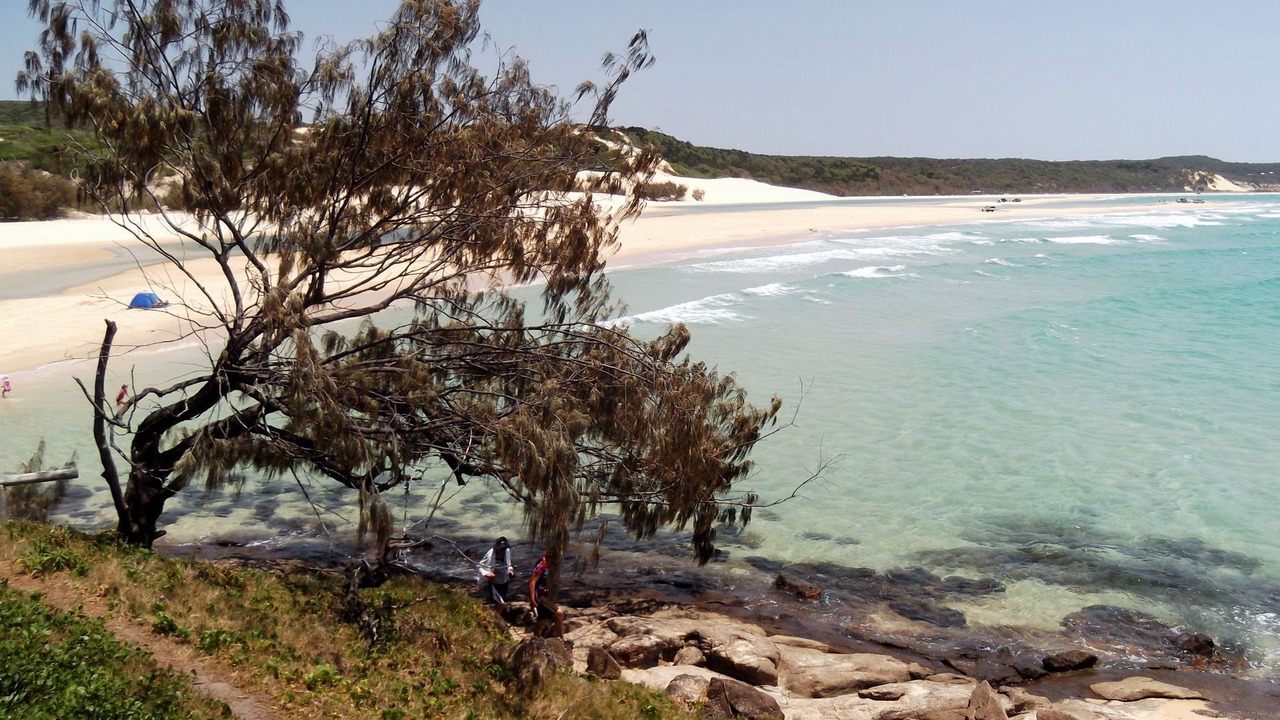 Photo of Others in Orchid Beach