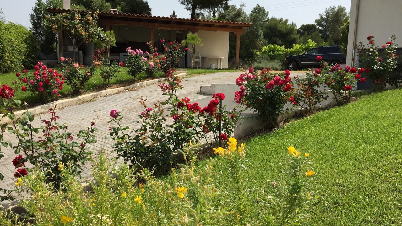 Photo of Others in Eretria