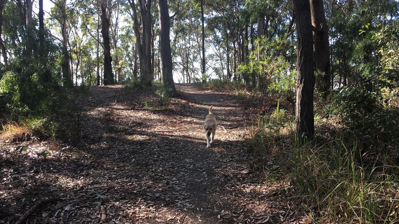 Photo of Others in Tugun